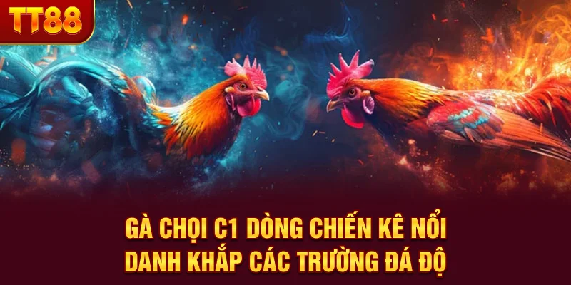 Gà Chọi C1